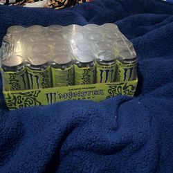 Monster 24pk