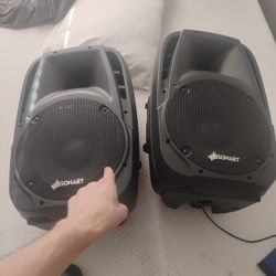 Dj Speakers /Guitar Speakers 