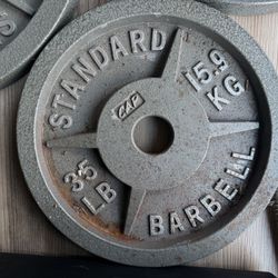 Single 35 Lb Plate Weight