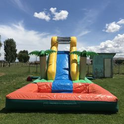 Inflatable tropical water slide
