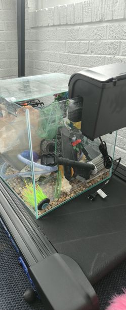Aquarium