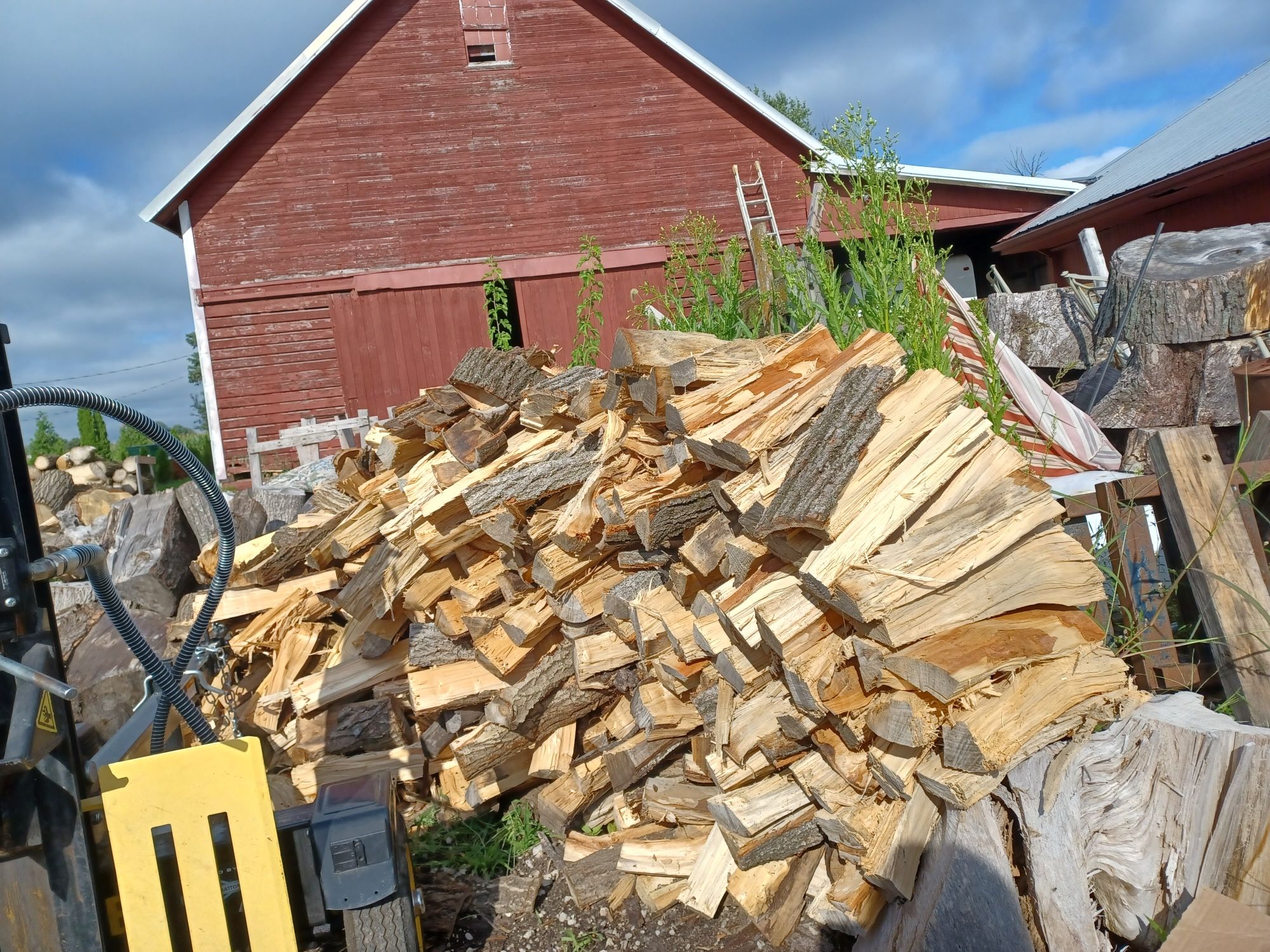 Firewood