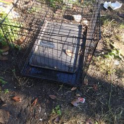 Dog Kennel 