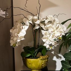 fake orchids 