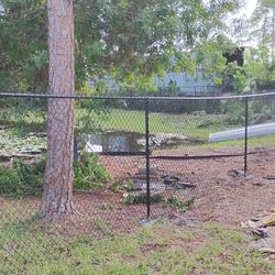 Fence 