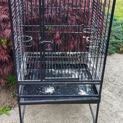 Bird Cage 