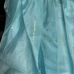   Disney Elsa Dress 