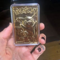 Pokémon collector Item