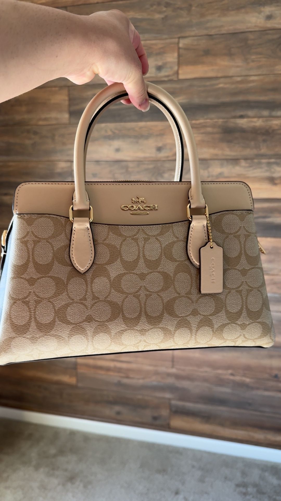 Darcie Carryall In Blocked Signature Canvas