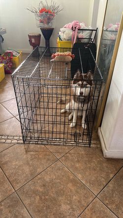 Training Crate