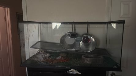 Lizard tank
