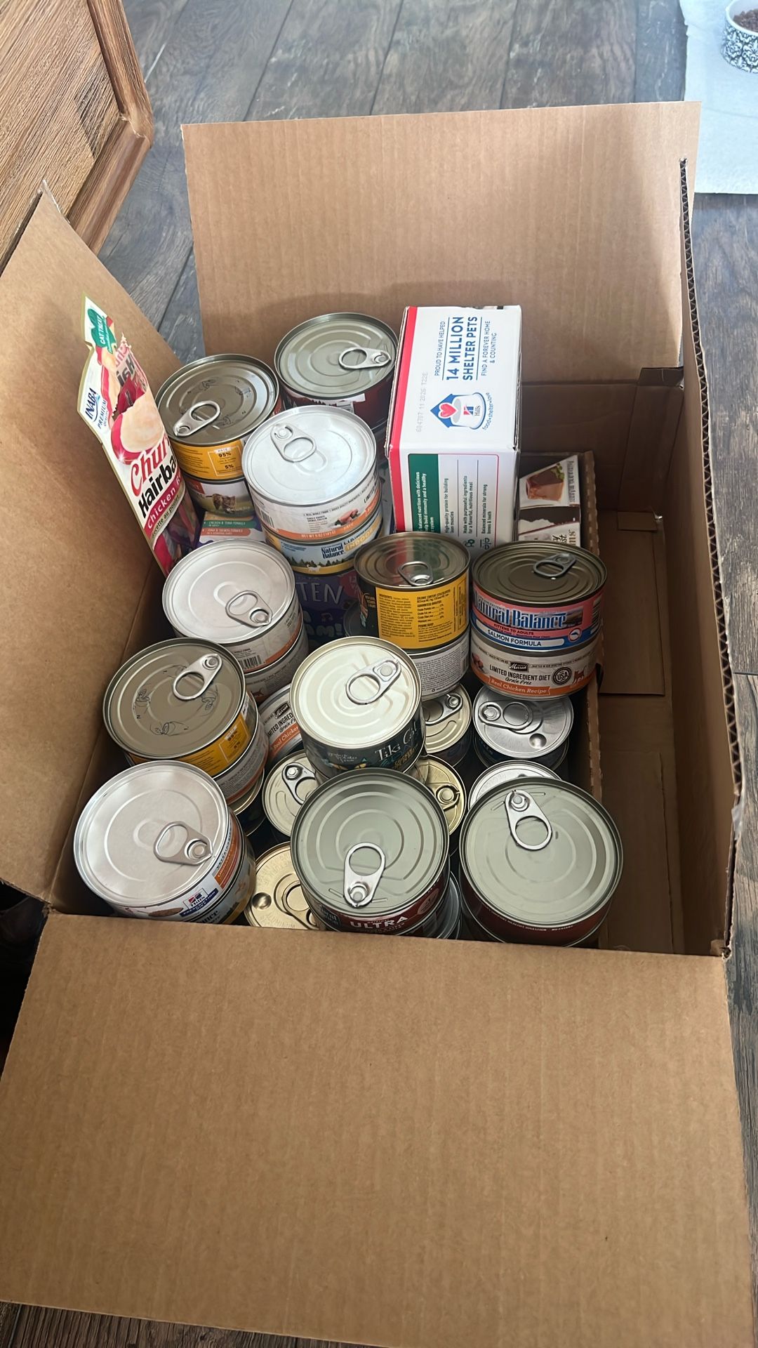 Free cat food!!!