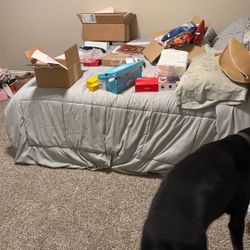 queen matress with box spring 