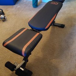 Workout Bench