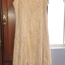 Bridal Shower Sparkle Cami Dress & Shoes