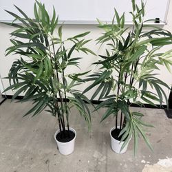Green Plants for Office Home Living Room They are not real one $40  for both of them only tonight
