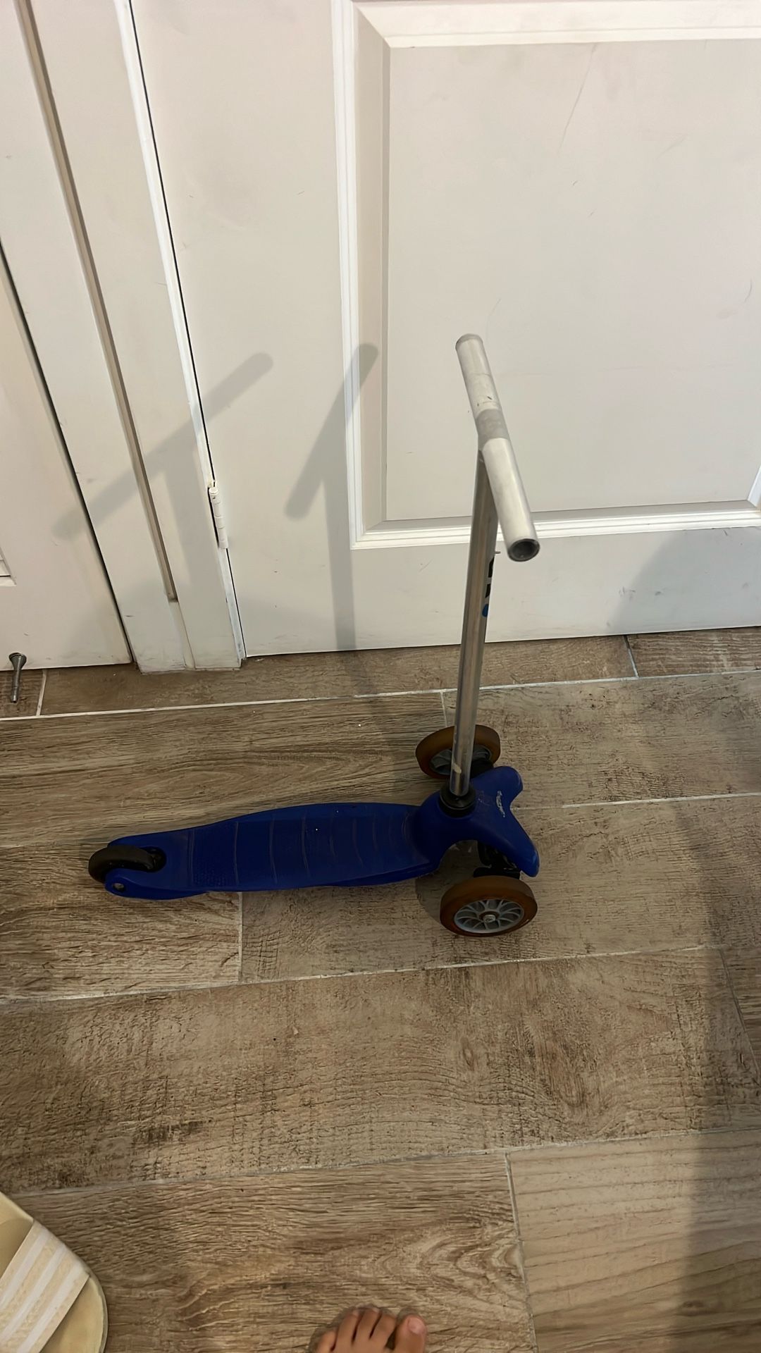 Kids Scooter