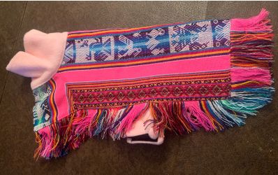 Dog Ponchos And Bandanas