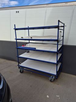 Mobule shelf