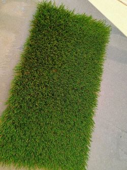 Rolls of artificial grass