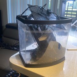 Betta Fish Tank 