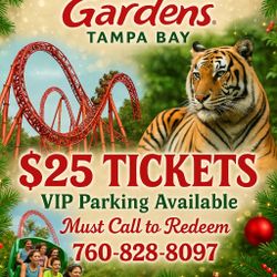 🎄✨ BUSCH GARDENS TAMPA BAY 🎟️🎄 CHRISTMAS  SPECIAL ✨🎄 