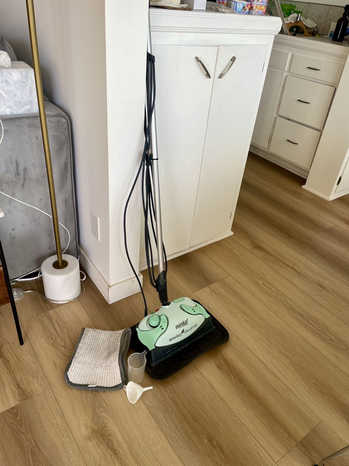 Eureka Enviro Floor Steamer