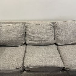 Pull Out Couch 