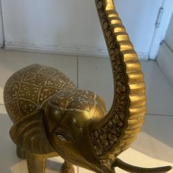 Elephant India