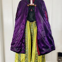 Anna costume from frozen 7/8 Boots/wig/Cape