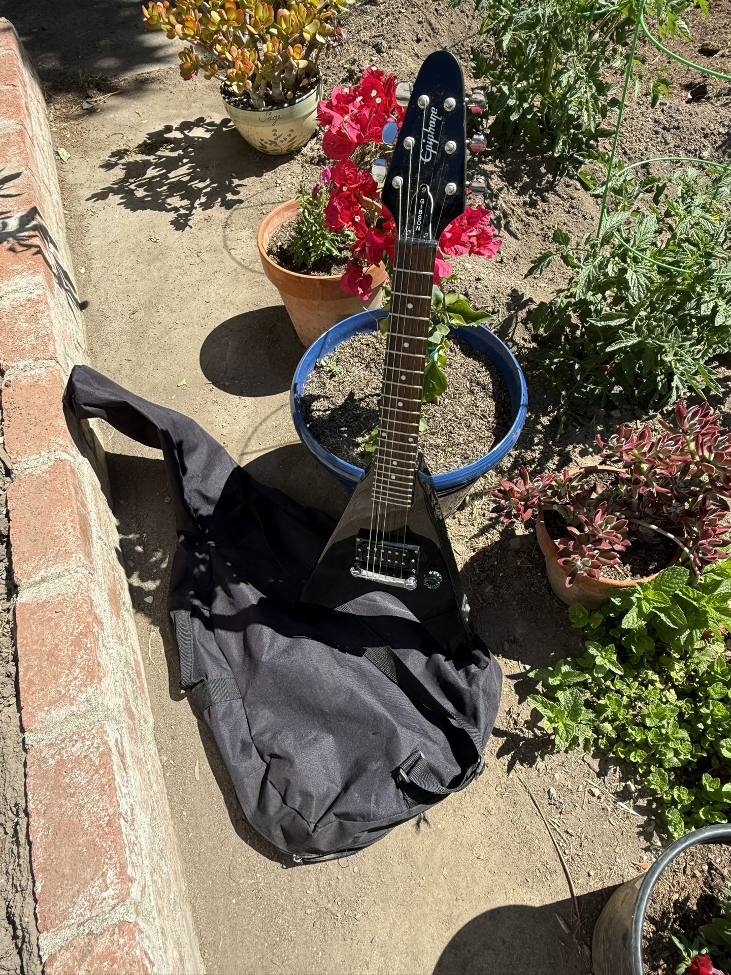 Beautiful 😻 Epiphone Mini Flying V Black