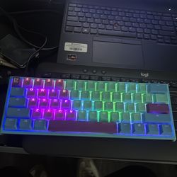 -Limited Edition- Ducky one two mini frozen llama