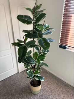 6ft Faux Plant