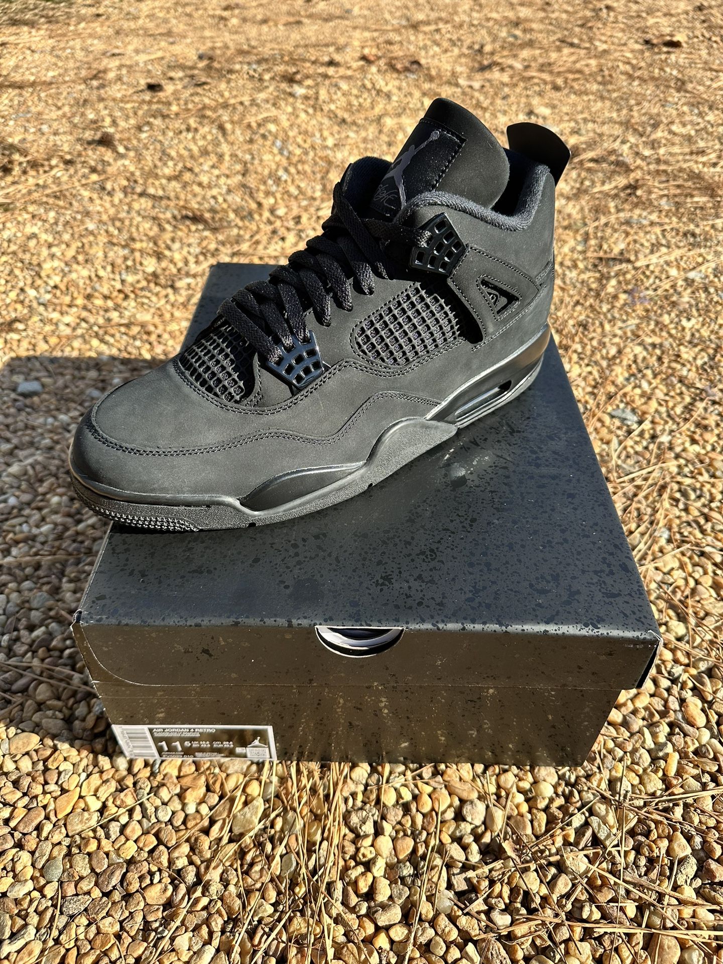 Black Cat Jordan 4