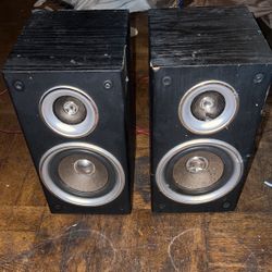 Speakers *SOLD W/OUT AMPLIFIER*