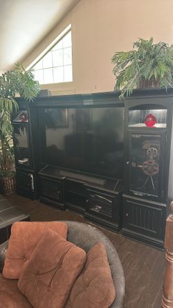 Entertainment Center For TV 