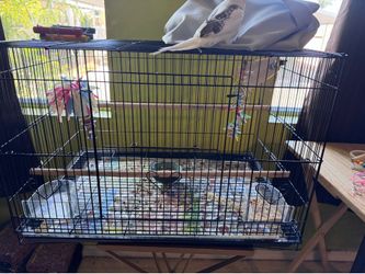Bird cage