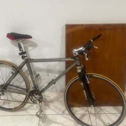 Trek Speed Bike 