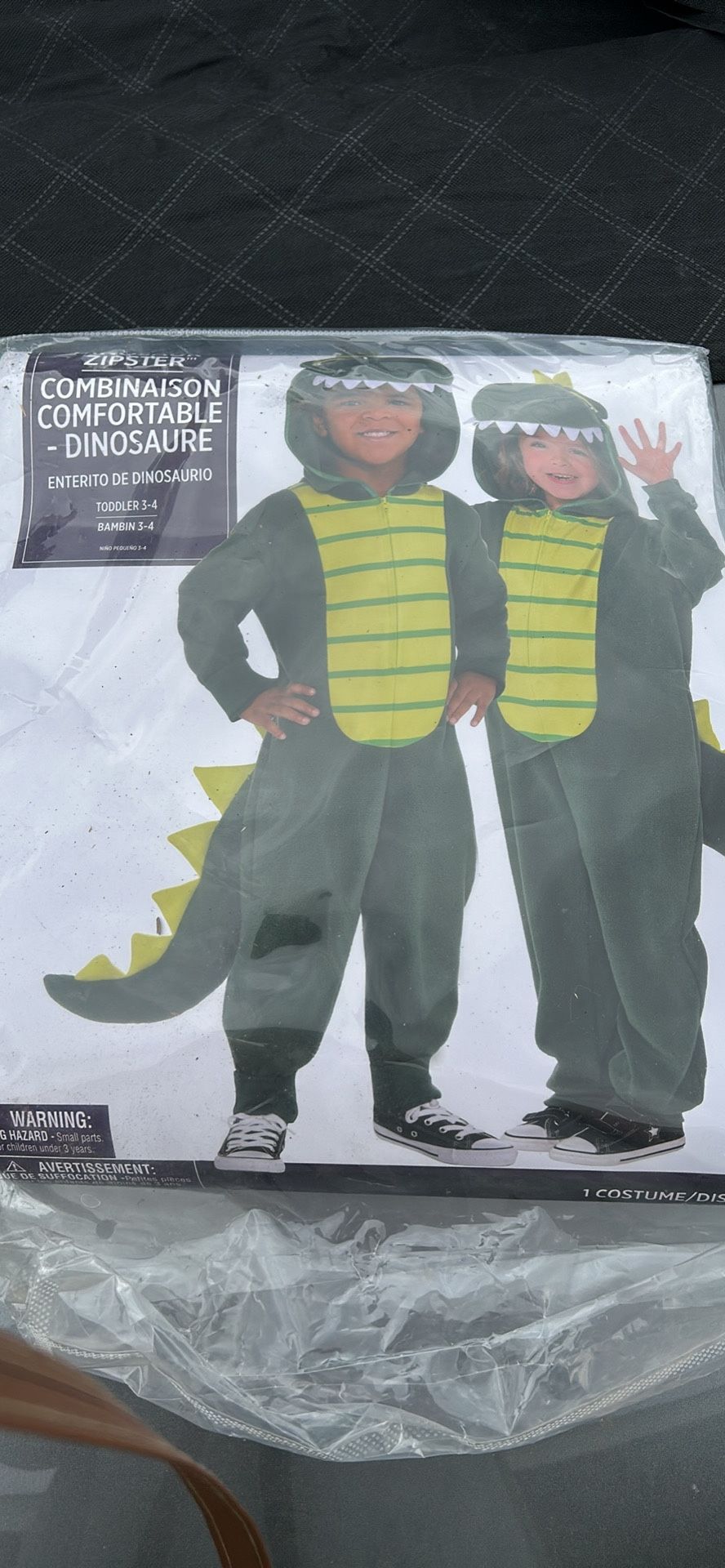 Dinosaur customs