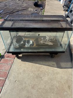 Terrarium Two Glass Sizes