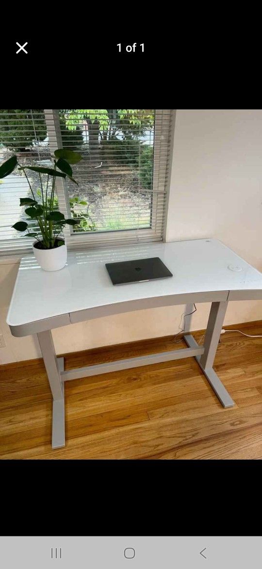 Tresanti Adjustable Height Desk