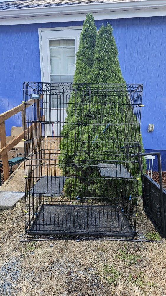Catio