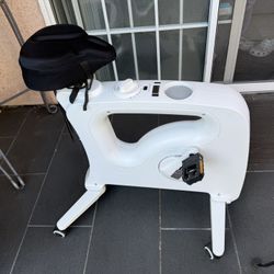 Flexispot Desk Exercise Bike 