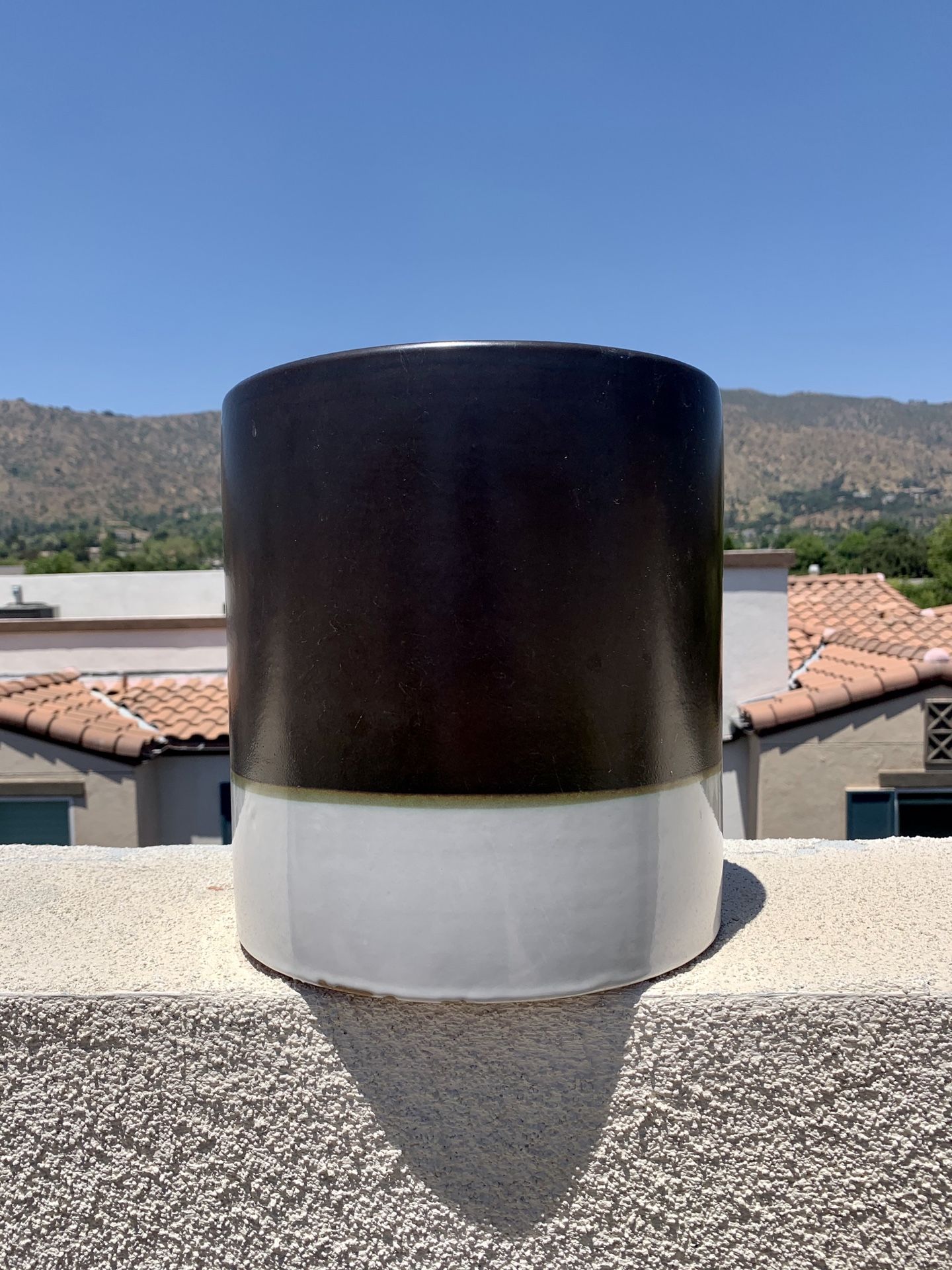 CB2 Planter Pot for succulent, cactus, house plant or flowers
