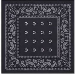 Dior x CACTUS JACK Printed Bandana Navy Blue/White