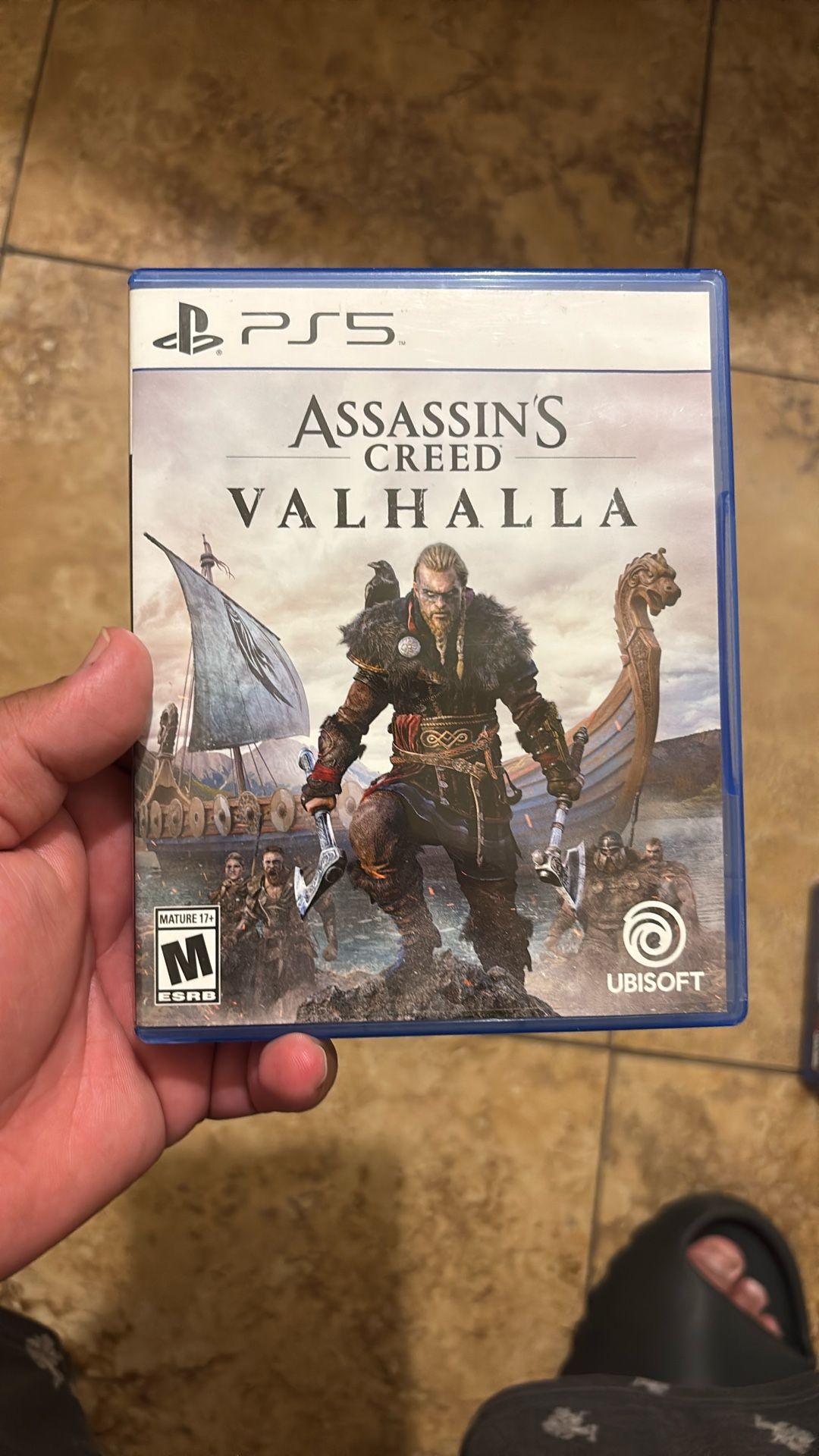 Assassins Creed Valhaila