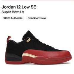 Jordan 12 Retro Low Super Bowl Size 7