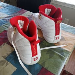 Jordans 12,s Size 5.5 Like New 
