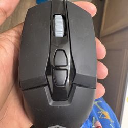 Mouse