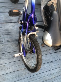 Mongoose, Black & Blue, 